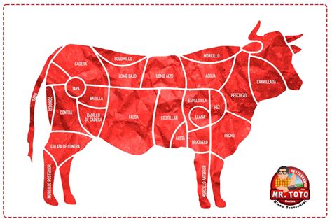Esquema de las partes de la carne de res
