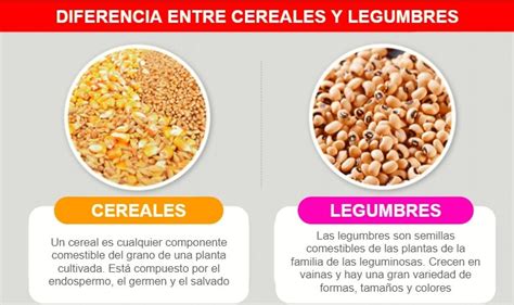 Tabla comparativa de aminoácidos en legumbres y cereales