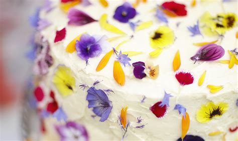 Variedad de postres decorados con flores comestibles