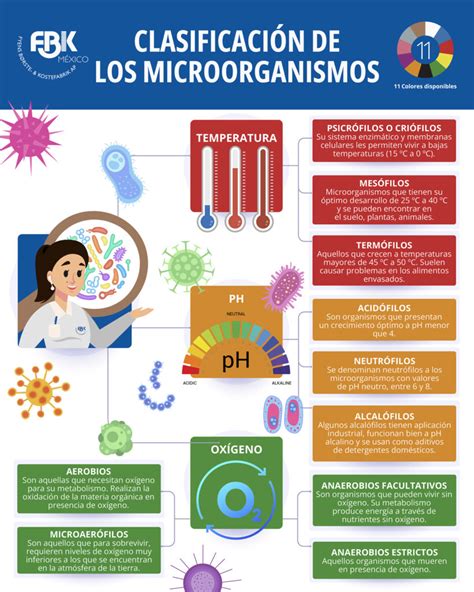 Esquema de las temperaturas necesarias para eliminar diferentes microorganismos en el agua