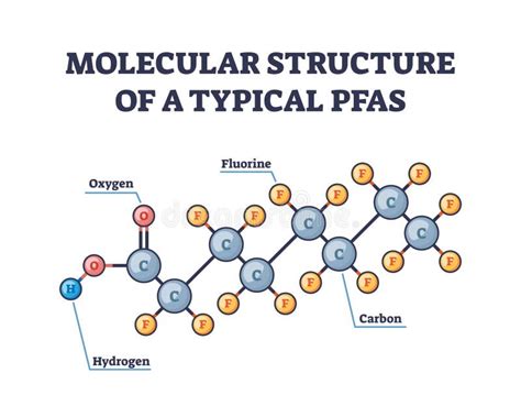 Estructura molecular de los PFAS