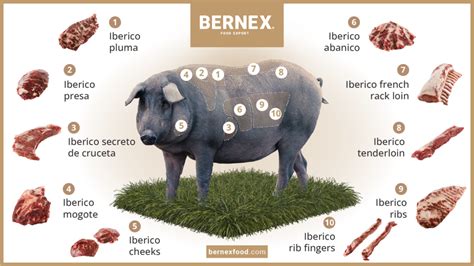 Diferentes cortes de cerdo ibérico para barbacoa