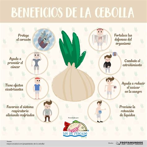 Infografía sobre los beneficios de la cebolla