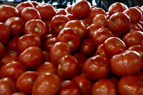 Tomates rojos maduros para gazpacho