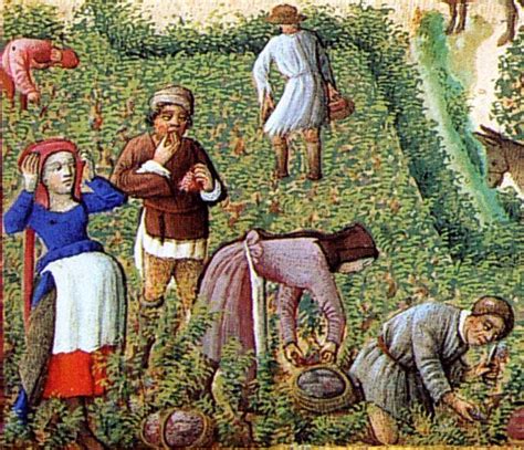 Ilustración antigua de campesinos