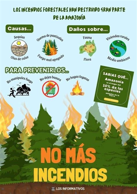 Infografía sobre prevención de incendios forestales