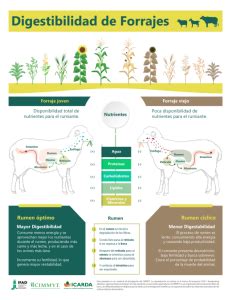 Gráfico comparativo de digestibilidad del pan