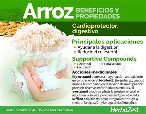 Infografía sobre los beneficios del arroz y las setas