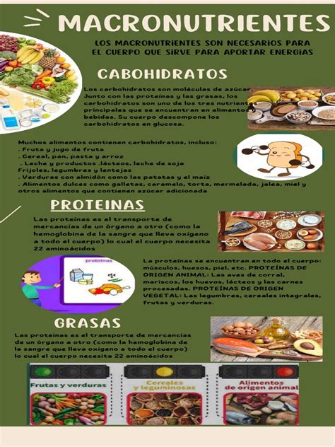 Infografía con la distribución de macronutrientes en el queso manchego
