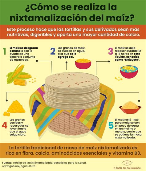 Infografía: Pasos para hacer tortillas con prensa