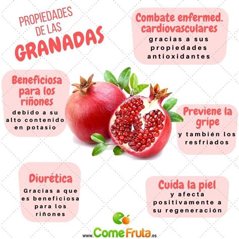 Infografía: Propiedades y beneficios de la granada