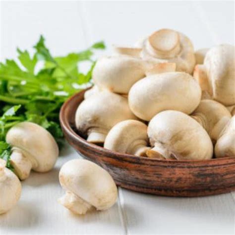 Champiñones frescos listos para rellenar