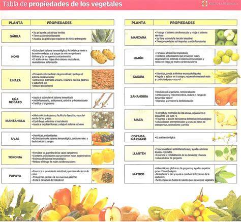 Plantas y alimentos con propiedades saciantes