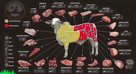 Esquema de los cortes de carne de res, destacando el Tomahawk