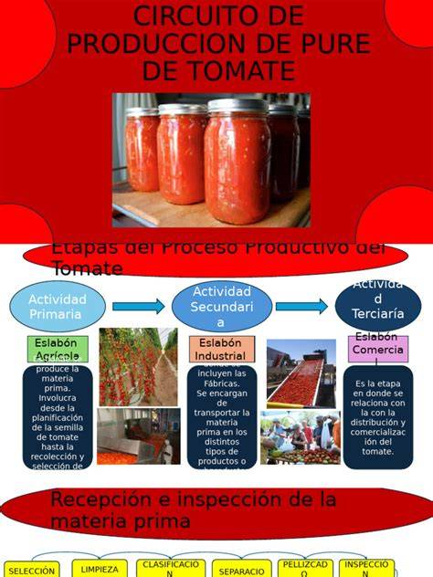 Proceso de elaboración de puré de tomate