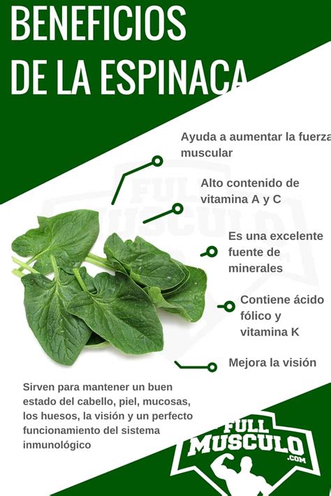 Infografía sobre los beneficios nutricionales de la espinaca