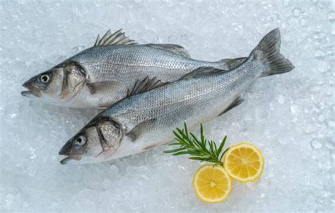 Lubina fresca