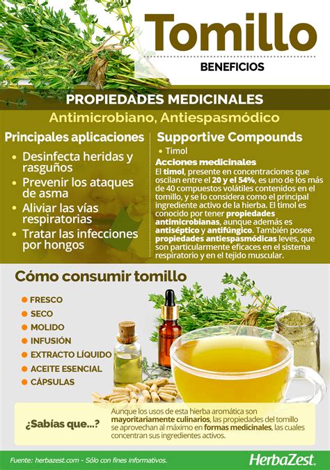 Infografía sobre los beneficios del tomillo para la salud