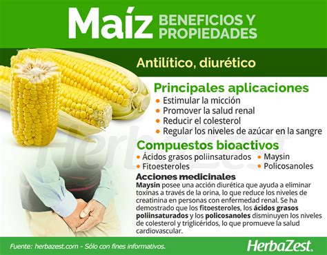 Infografía sobre los beneficios nutricionales del choclo