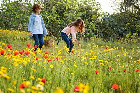 Niños recogiendo hinojos en el campo