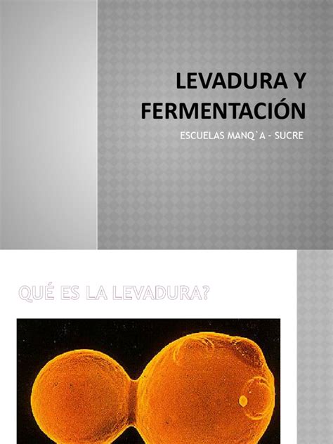 Esquema comparativo: Levadura biológica vs. Gasificante