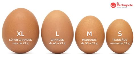 Huevos de diferentes tamaños y tipos en una balanza