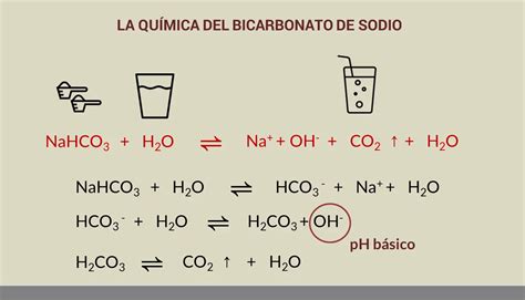 Reacción química del bicarbonato de sodio con las patatas