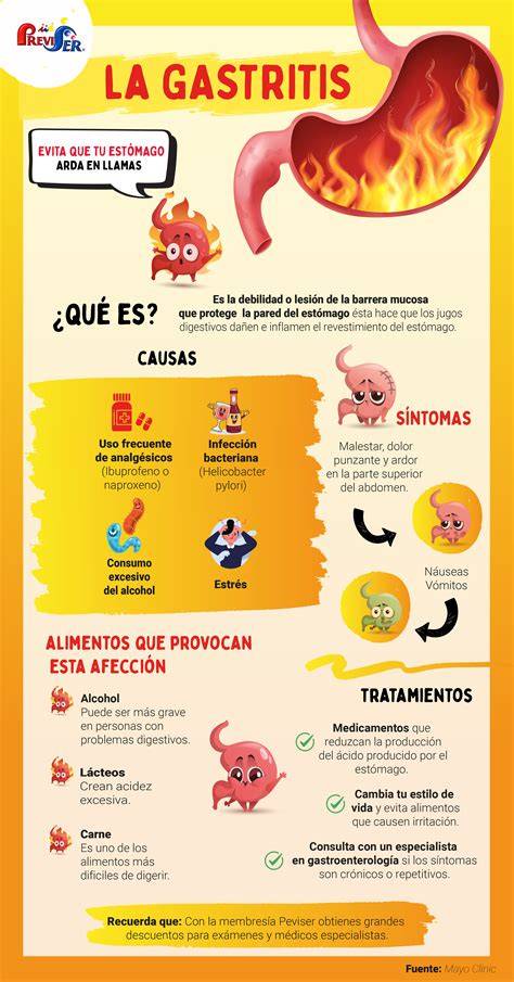 Esquema de las causas y recomendaciones para la gastritis