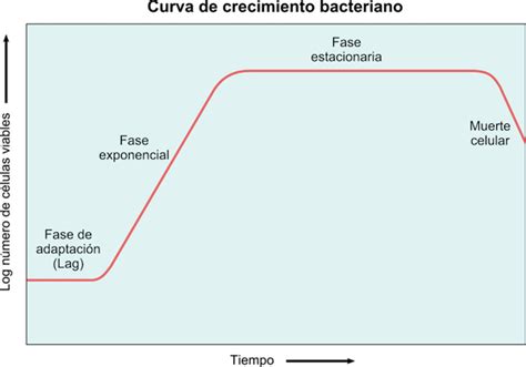 Gráfico de crecimiento bacteriano en alimentos con y sin refrigeración