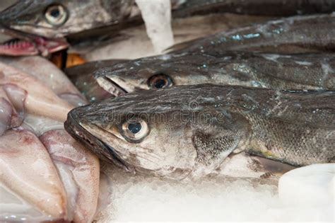 Selección de merluza fresca en un mercado de pescado
