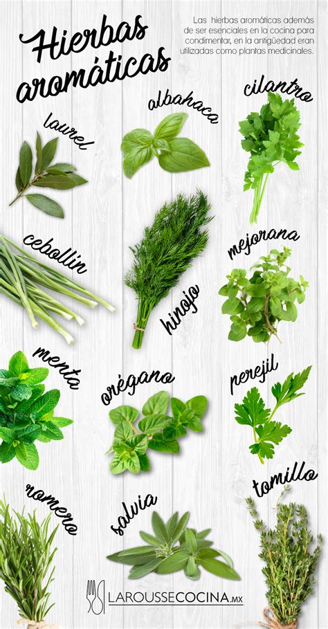 Hierbas aromáticas para cocinar