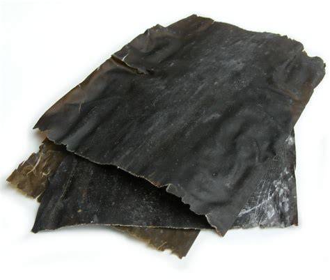 Alga kombu seca