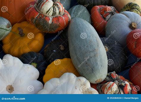 Variedad de calabazas frescas y coloridas en un mercado