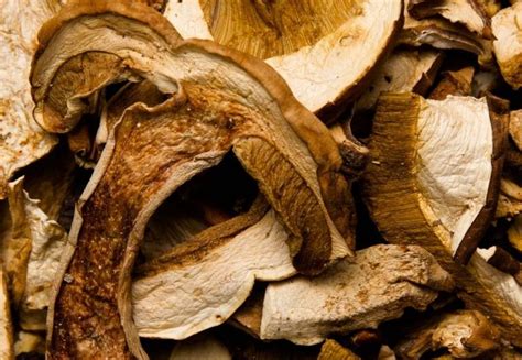 Boletus deshidratados en un cuenco