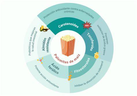 Esquema de los beneficios para la salud de las palomitas de maíz