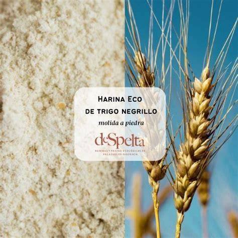 Variedad de harinas ecológicas