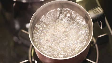 Olla con agua hirviendo y berenjenas cortadas