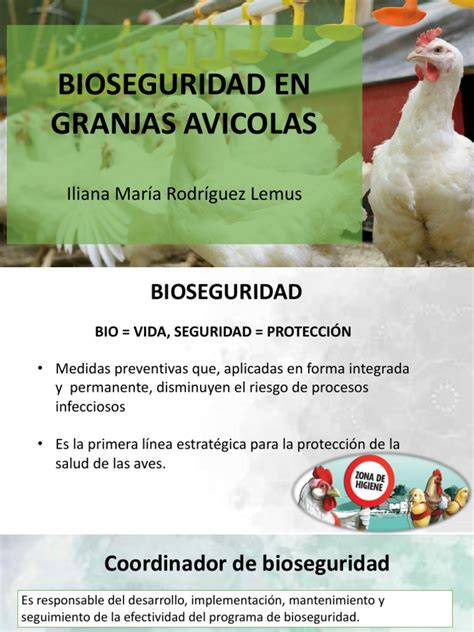 Infografía sobre medidas de bioseguridad en granjas avícolas