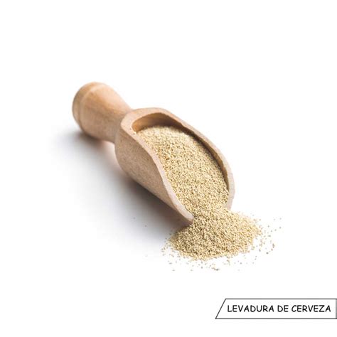 Levadura de cerveza en polvo y en copos