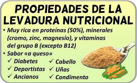 Beneficios de la levadura de cerveza para la piel, cabello y uñas