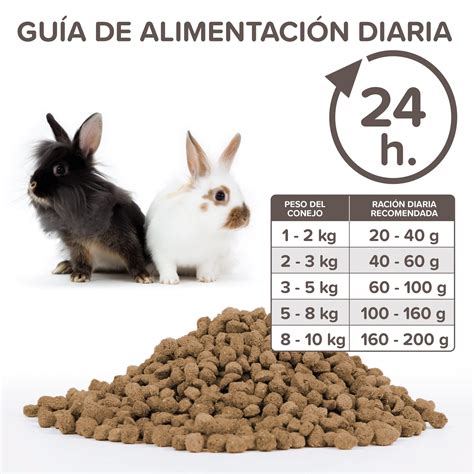 Tabla de alimentación diaria para conejos