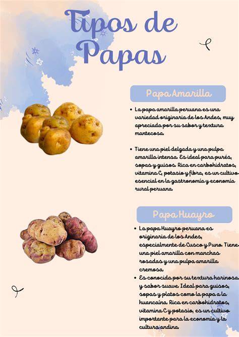 Tipos de papas y sus usos culinarios