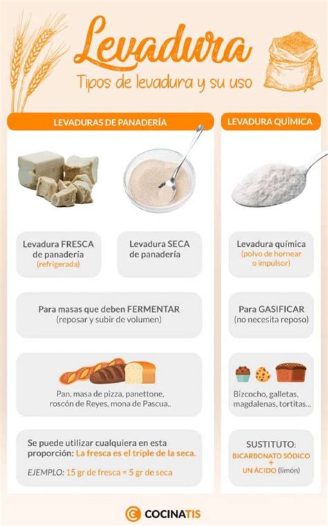 Tipos de levadura