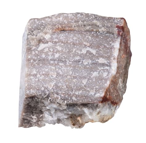 Icnofósiles de la Cuarcita Armoricana