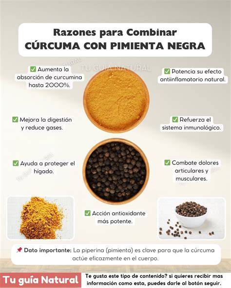 Esquema de los beneficios de la piperina en el cuerpo