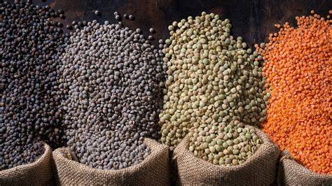 Imagen de los diferentes tipos de lentejas (rojas, verdes, pardas, negras)