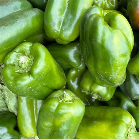 Pimientos verdes frescos en temporada