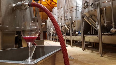 Proceso de trasiego de vino en bodega