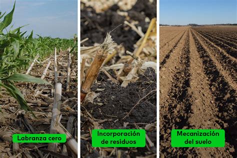 Preparación del suelo para el cultivo de maíz