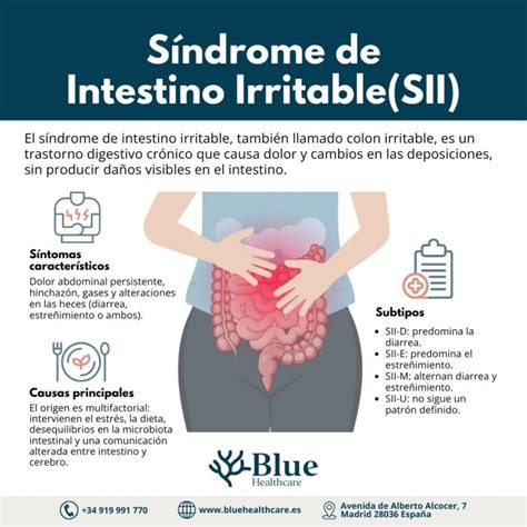 Diagrama de los síntomas del Síndrome del Intestino Irritable
